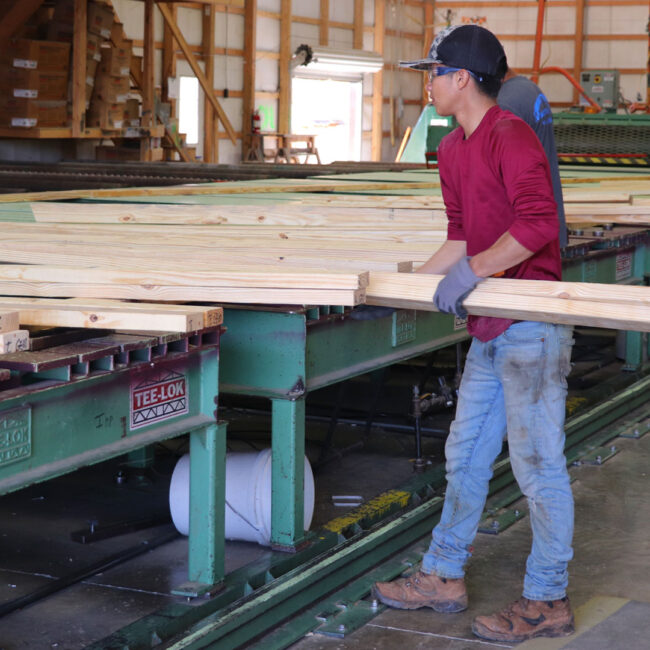 Mountain view employee placing lumber on table
